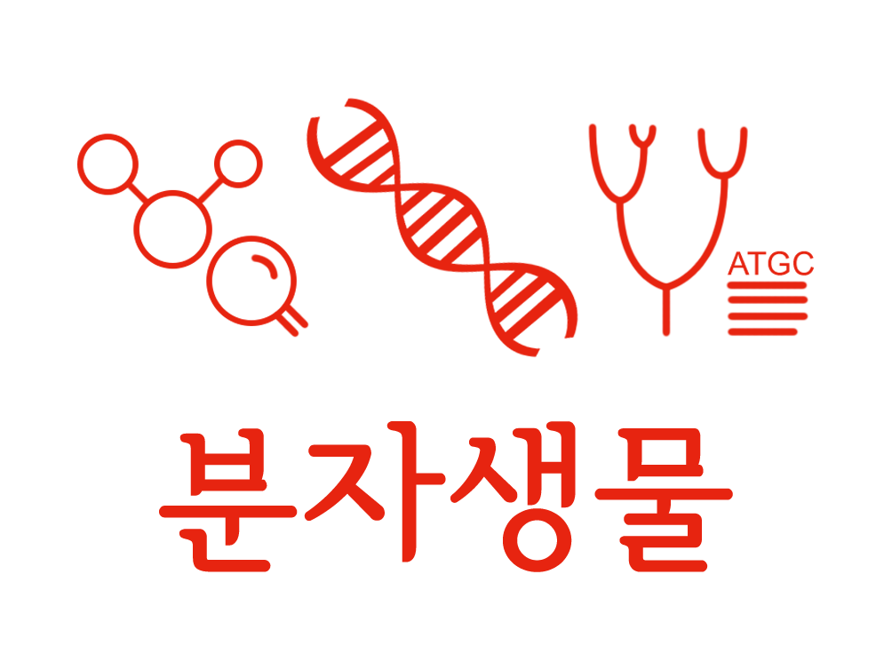 분자생물